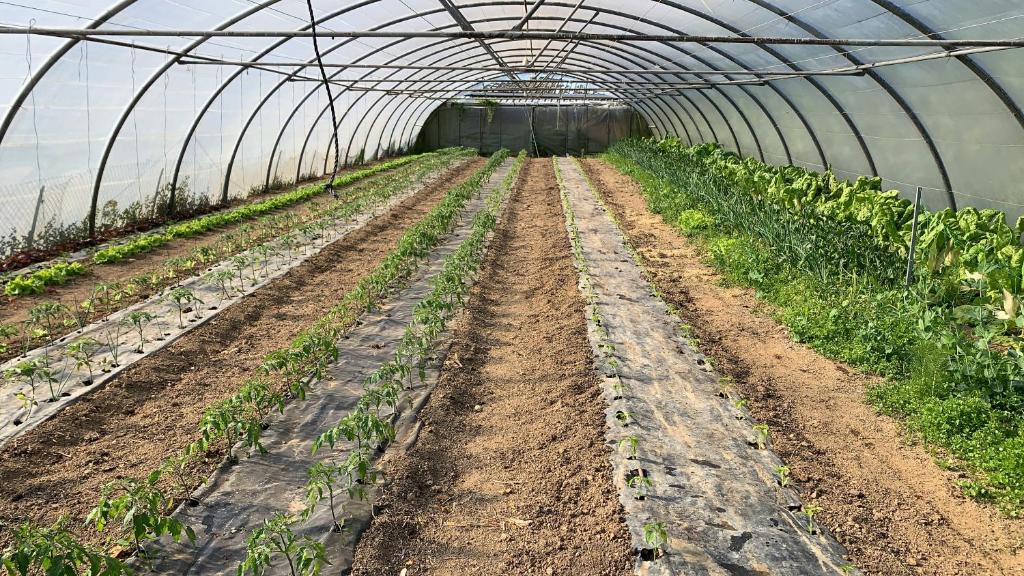 Zahrada ubytování Agroturismo Urresti