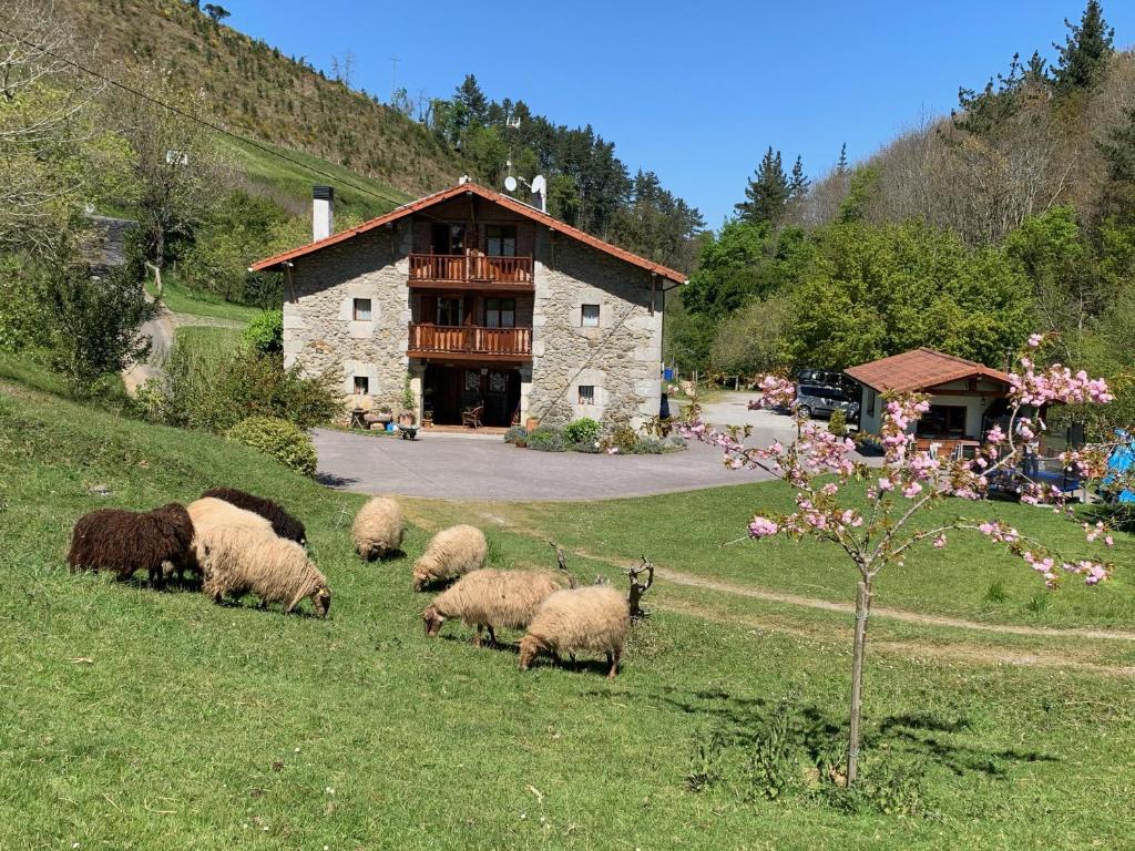 un rebaño de ovejas pastando en un campo frente a un edificio en Agroturismo Urresti, en Gautegiz Arteaga