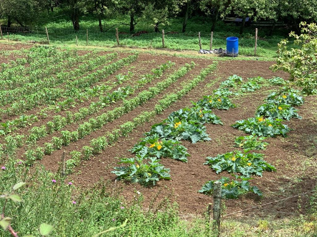Zahrada ubytování Agroturismo Urresti