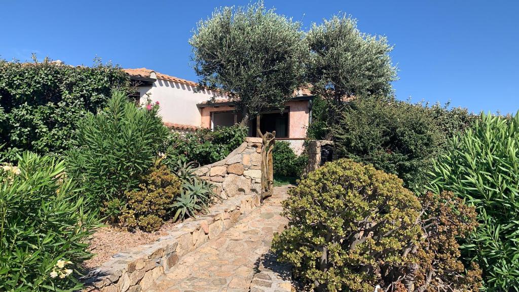 a stone path leading to a house with trees and bushes at VILLINO FIORI DI BARAGGE in Palau