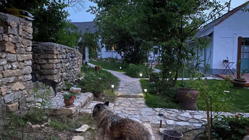 Zdjęcie z galerii obiektu Káli Kerted Vendégházak Monoszló Mariska néni háza w mieście Monoszló