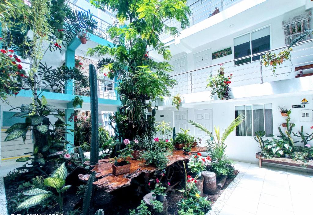 a garden in front of a building with plants at Hotel Boutique los Remansos in Palmira