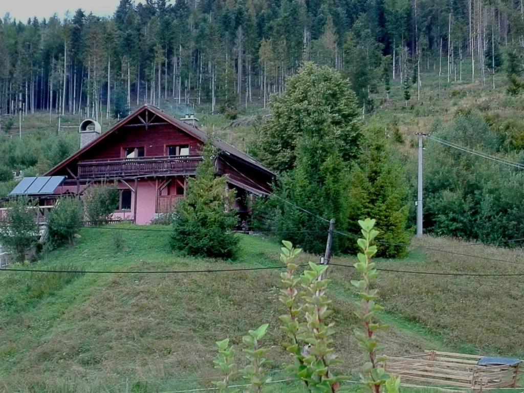 Príroda v okolí apartmánu