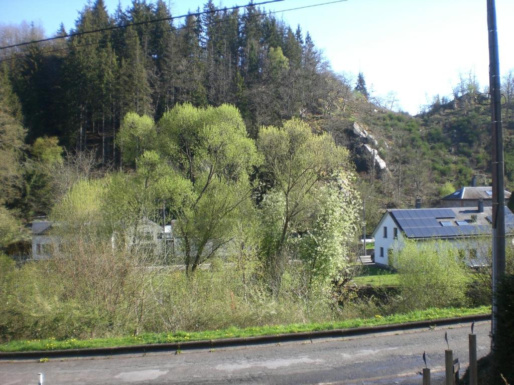 Příroda nedaleko bed and breakfast