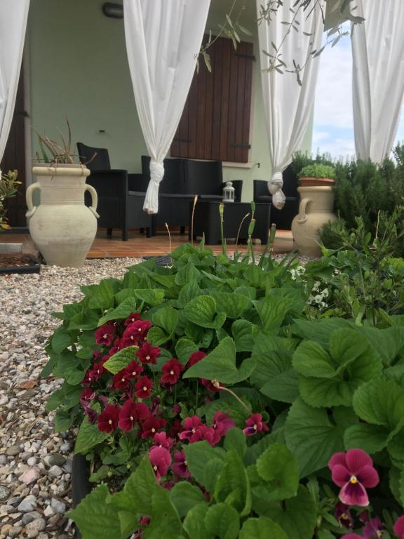 a garden with red flowers and plants in a room at Appartamento Sofia in Lazise