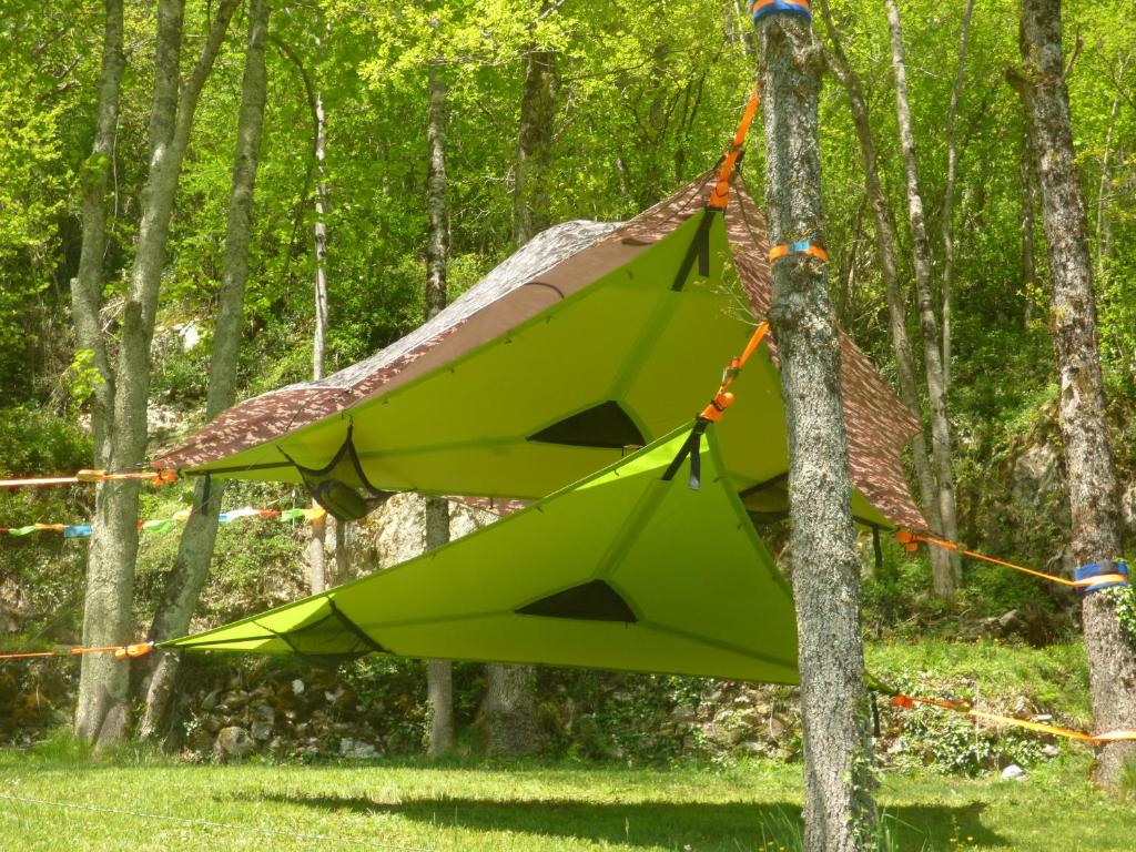 a green airplane hanging from a tree at dtente sky lodge in Massat