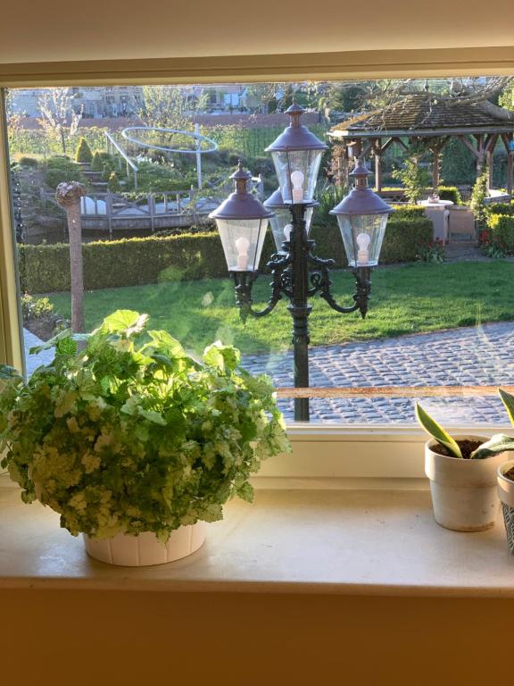 Zahrada ubytování B&B De Rentmeesterhoeve