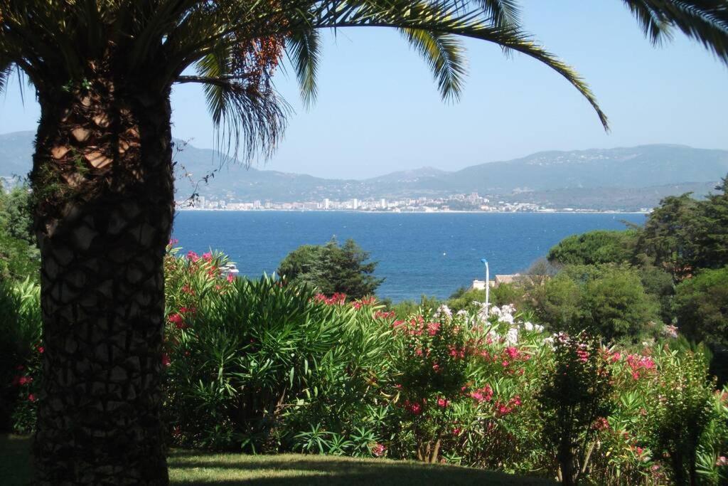 a palm tree and a view of the water at PORTICCIO BRILOC APPART DUPLEX à 150m de la plage. in Porticcio