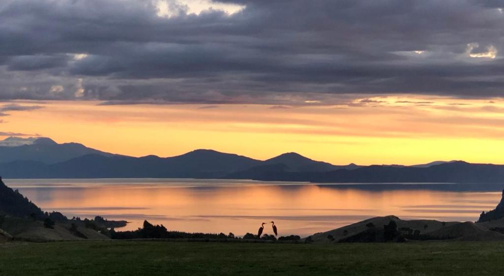 un coucher de soleil sur une étendue d'eau avec des montagnes dans l'établissement Hilltop Whakaipo Estate, à Taupo