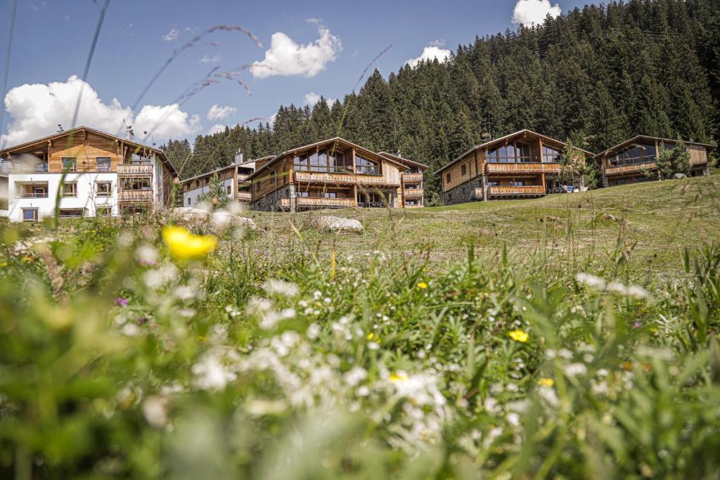 a field with a bunch of trees and houses at PRIVÀ Alpine Lodge in Lenzerheide