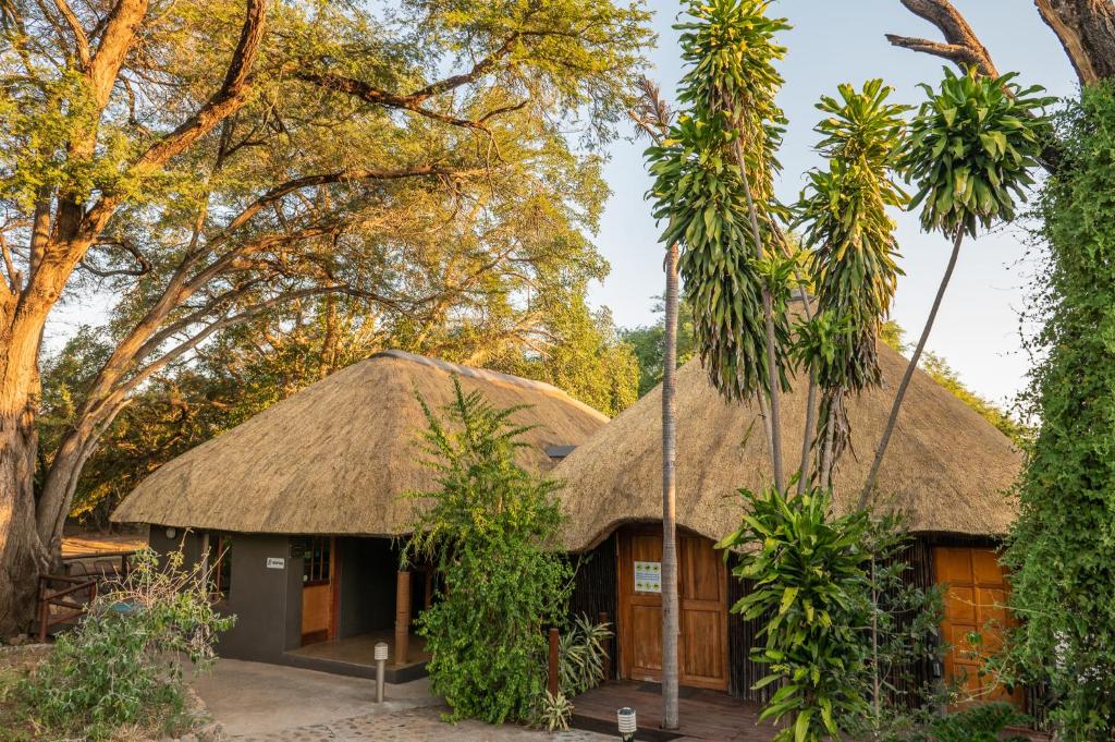a house with a thatched roof and trees at Bushriver Lodge in Mica