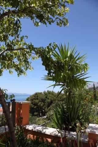 Fotografia z galérie ubytovania Apartment Podgora 2 v Podgore