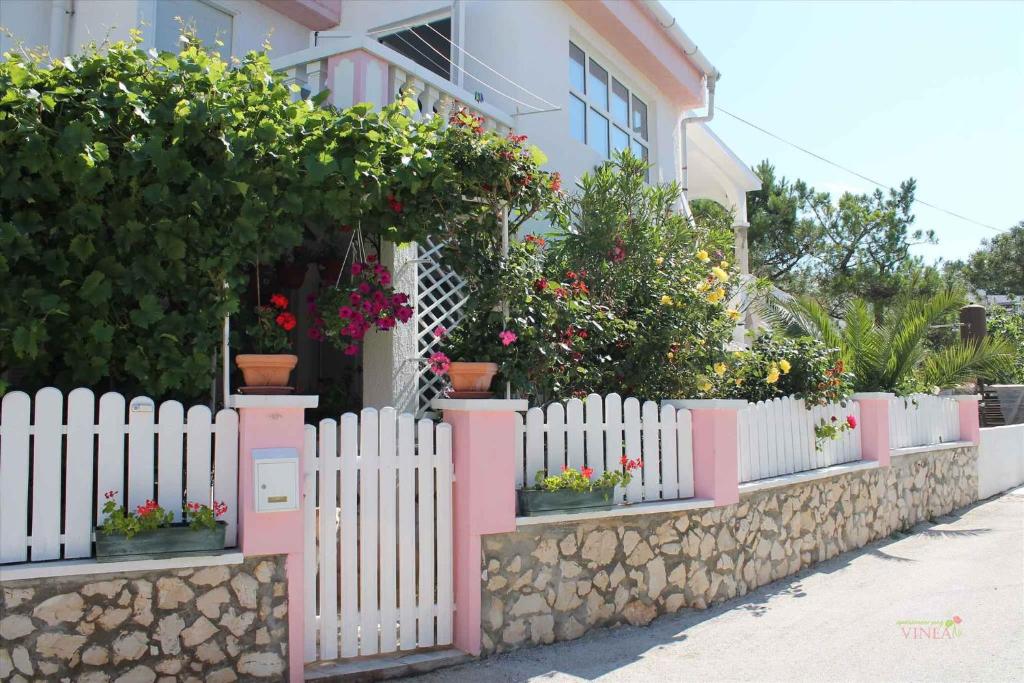 Fotografie z fotogalerie ubytování Apartment Povljana 1 v destinaci Povljana