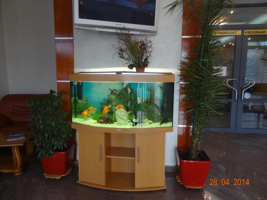 Fotografie z fotogalerie ubytování Hotel Emma West v destinaci Craiova