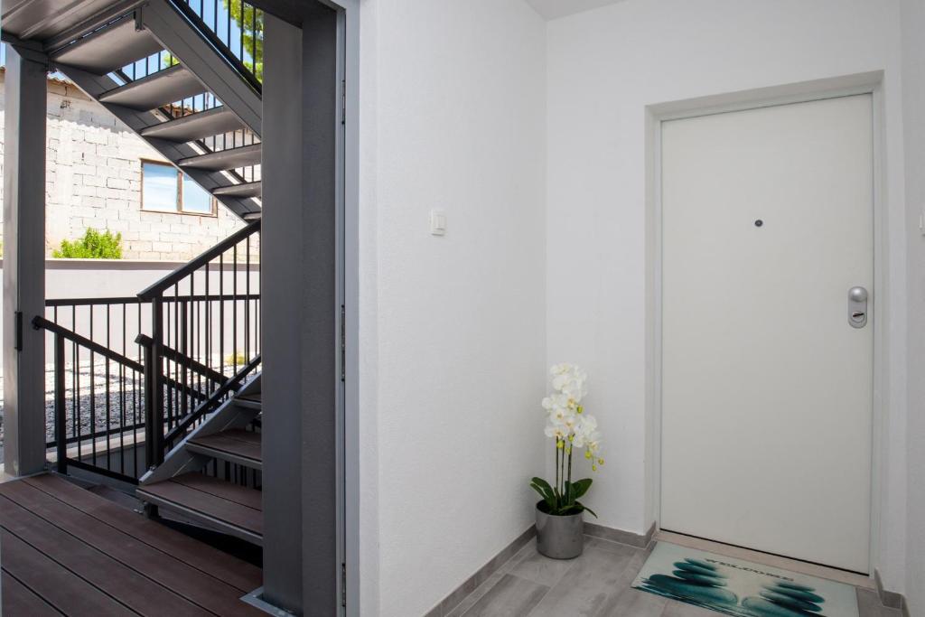 Fotografie z fotogalerie ubytování Apartments Dva Galeba v destinaci Bol
