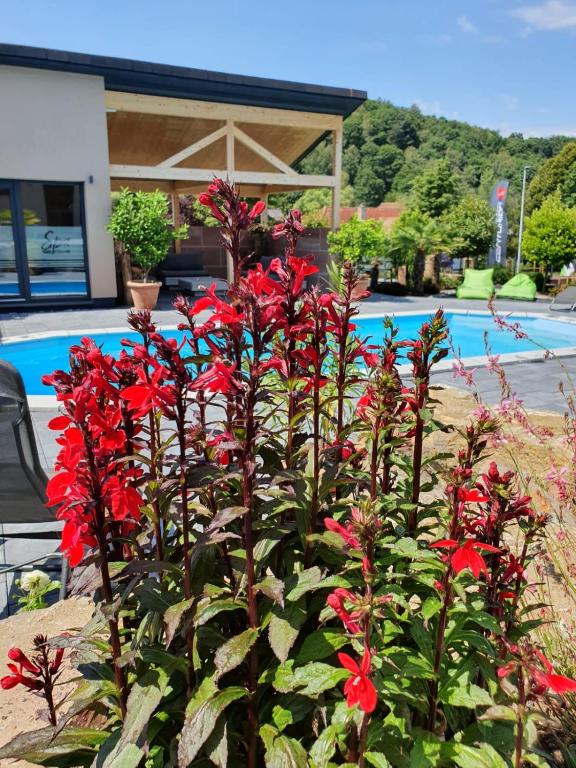 Bazén v ubytování FBA Village nebo v jeho okolí