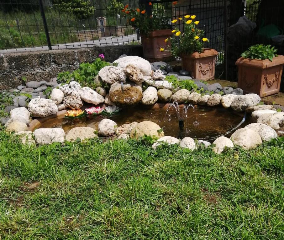 A garden outside B&B Maremma's dream