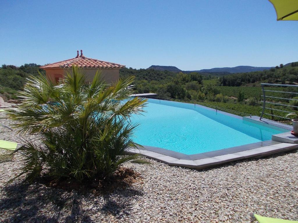 a large swimming pool with a palm tree next to it at Villa Le Tournesol ADULT à partir de 16 ans in Saint-Jean-de-la-Blaquière