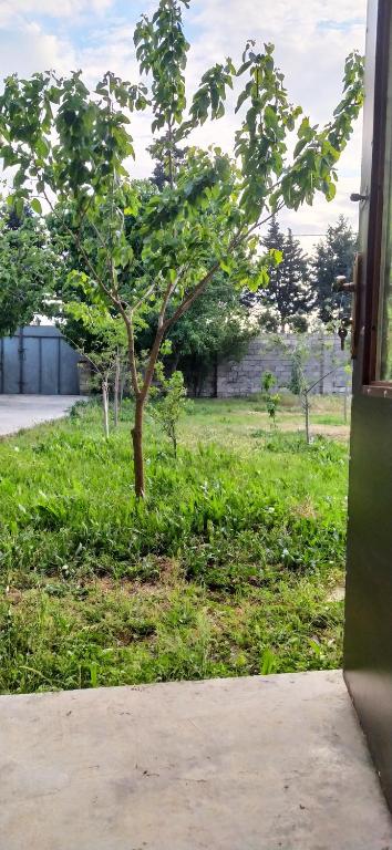 امکانات فرودگاه باکو آپارتمان - تصویر ۴