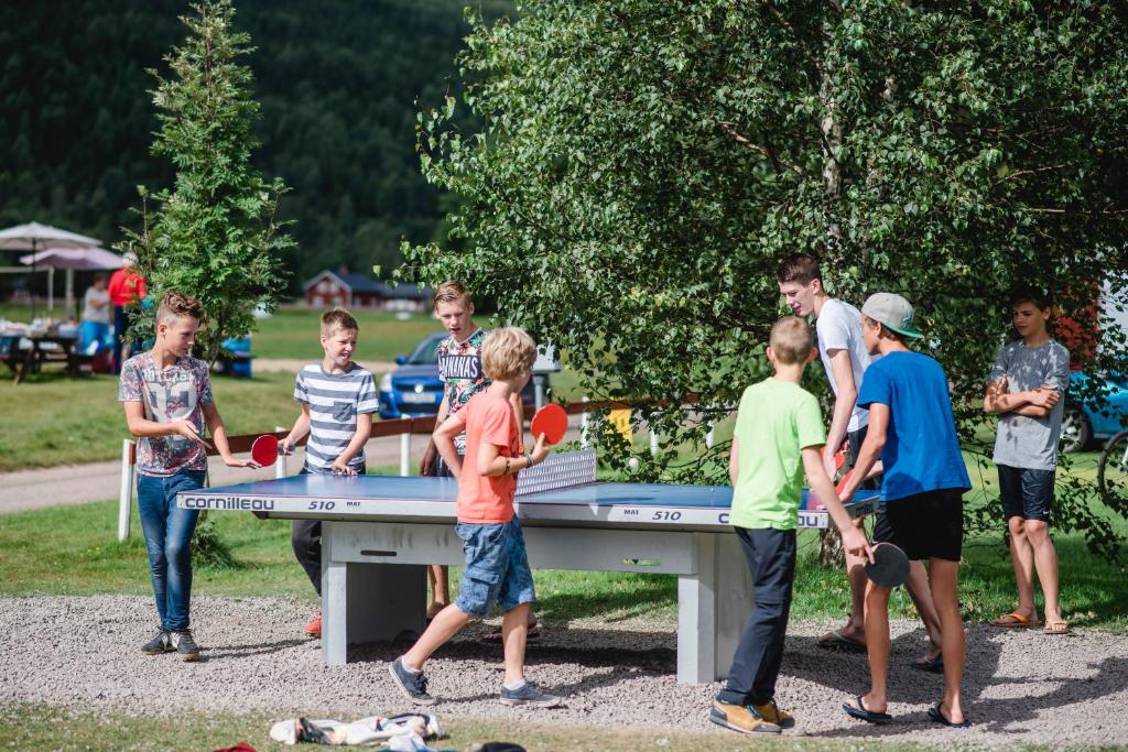 Hosté ubytování Alevi Camping