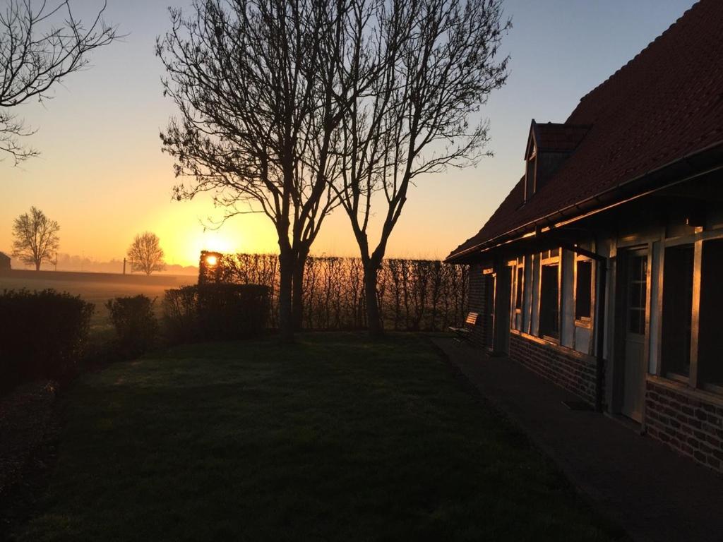 une maison avec un arbre et le coucher du soleil en arrière-plan dans l'établissement de Flyboys, à Watou