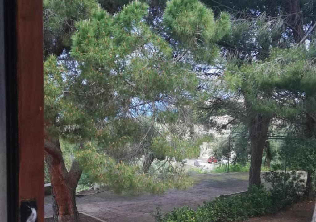 Villa del Vescovo - 7