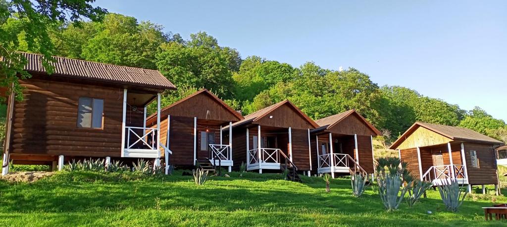 uma fila de cabanas de madeira num campo de relva em Домики в Раю em Pizunda