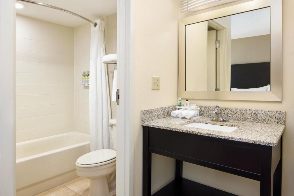 Holiday Inn Express & Suites Alpharetta by IHG - Suite King Con Sofá Cama