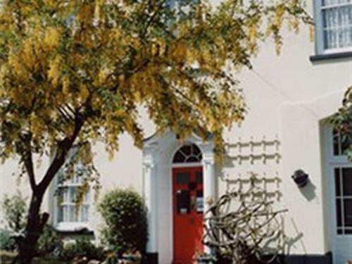 a white house with a red door and a tree at College Guest House in Haverfordwest