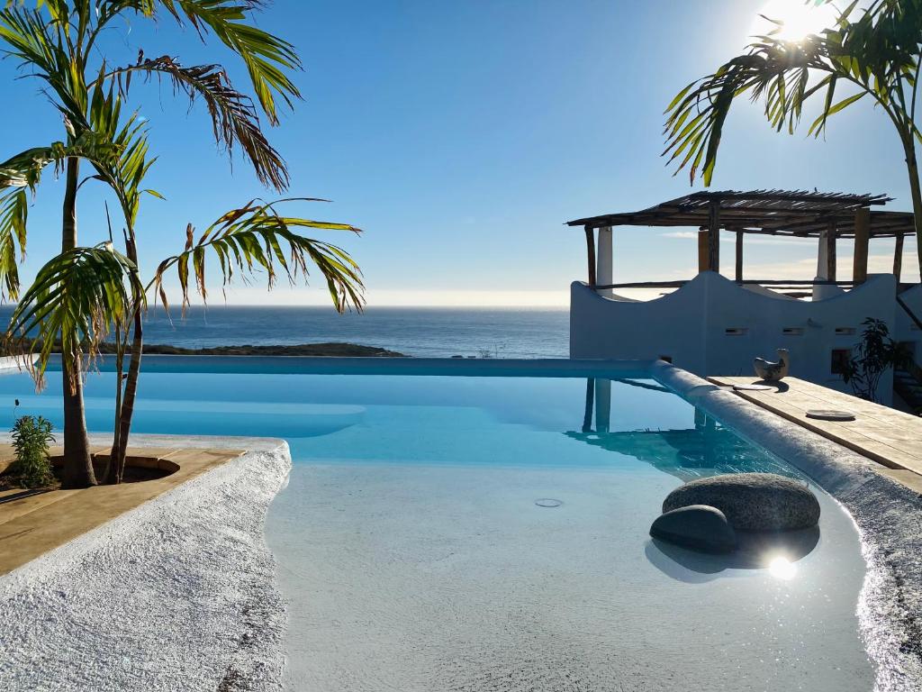 a swimming pool with a view of the ocean at The White Lodge in San José del Cabo