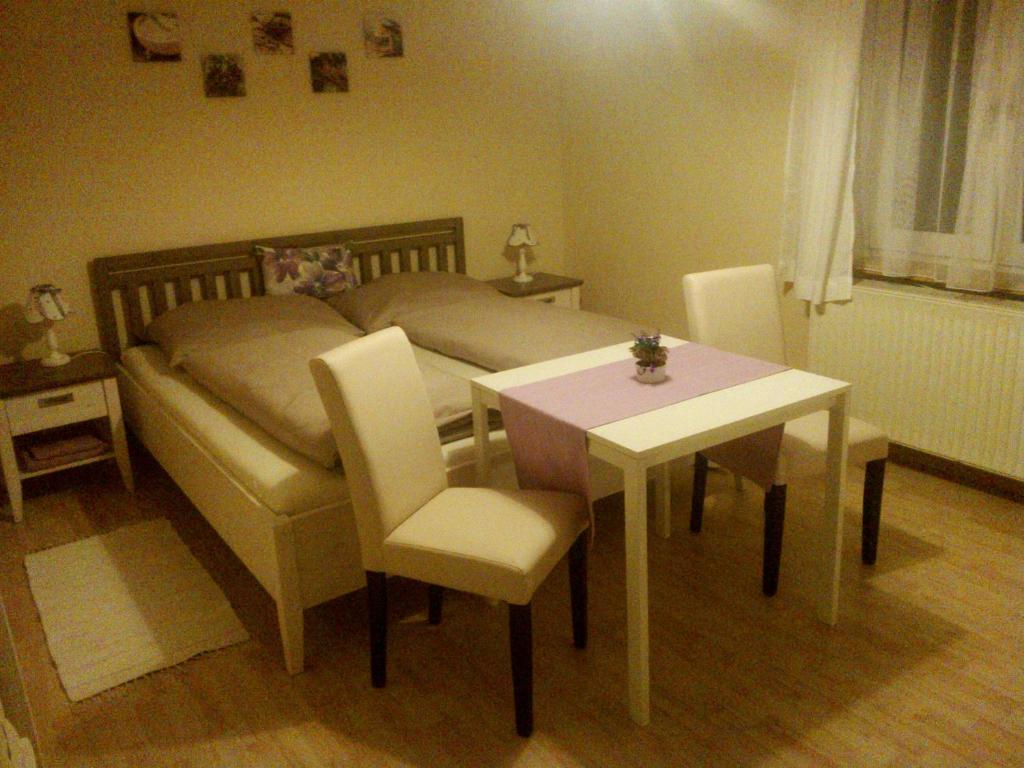 Seeblick Krippenstein - 5