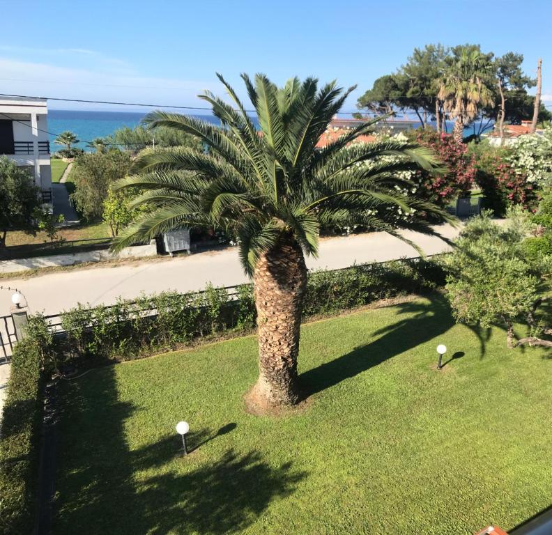 Príroda v okolí apartmánu