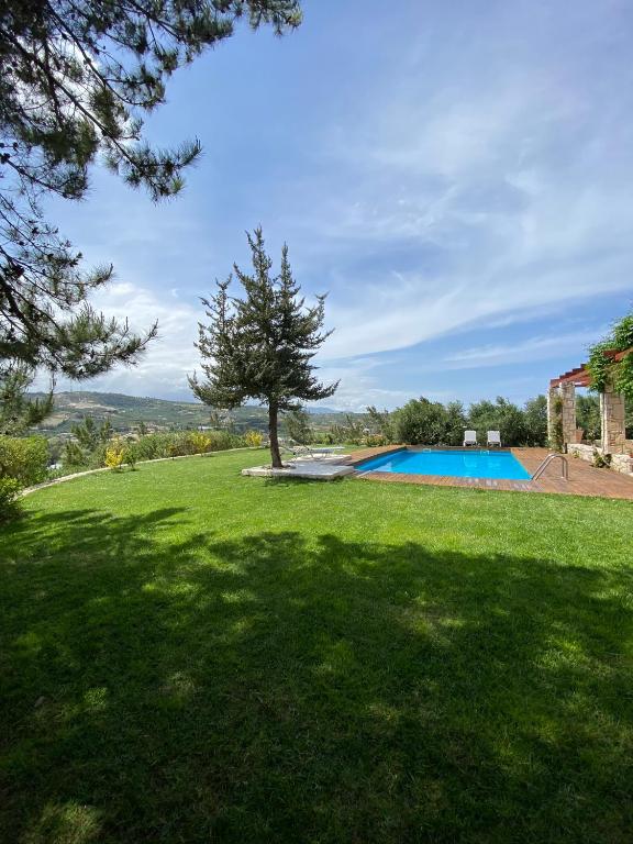 a green yard with a tree and a swimming pool at Promachon Villa in Foinikiá