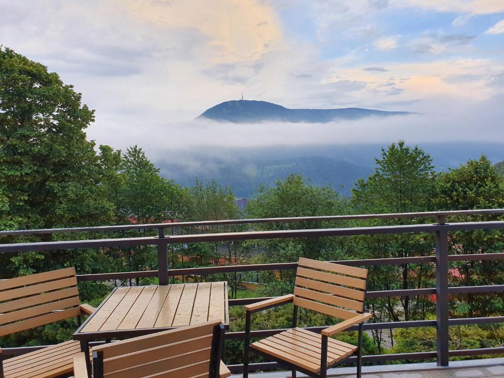 Willa Orle Gniazdo - 2