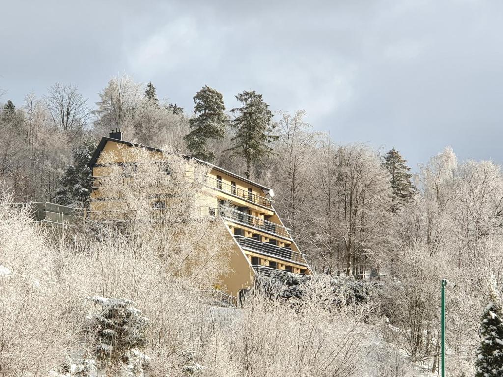 Willa Orle Gniazdo - 12