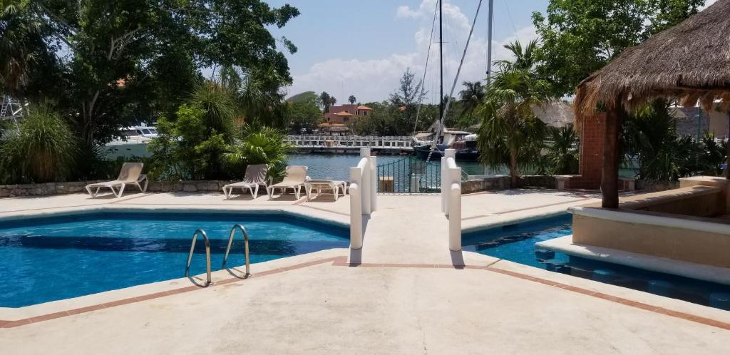 - une piscine avec des chaises à côté d'une maison dans l'établissement Colibri Paradise Puerto Aventuras, à Puerto Aventuras