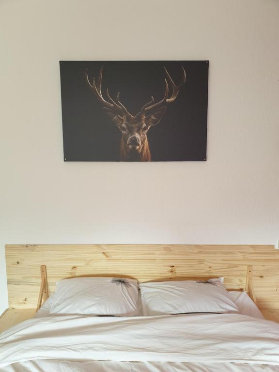 a picture of a deer with its antlers on a wall at Résidence belle hutte coté pistes de ski in La Bresse