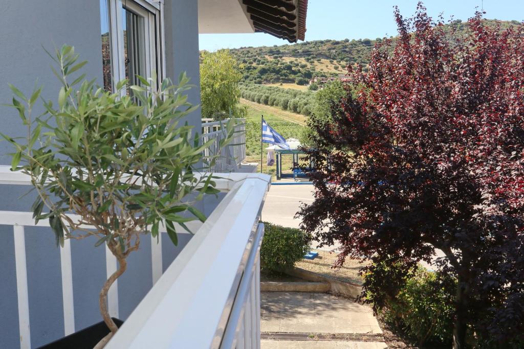 Vonkajšia záhrada v ubytovaní Mare Monte Luxury Apartments 2