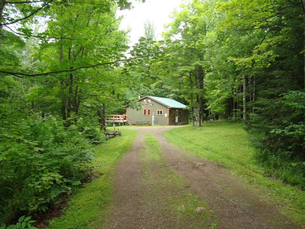 een onverharde weg die leidt naar een huis in het bos bij Grandpa Jim's Cabin in Montreal