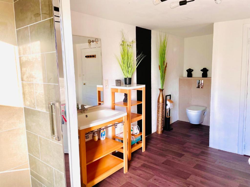 Koupelna v ubytování Gîte de la Vernière