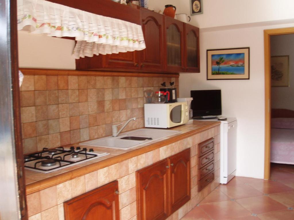 Kuchyň nebo kuchyňský kout v ubytování Apartments Butinar Pri Kapitanu