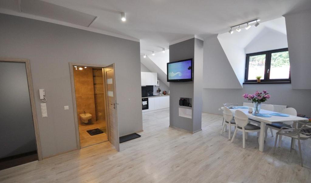 Un televizor și/sau centru de divertisment la Apartament nad Kamienną