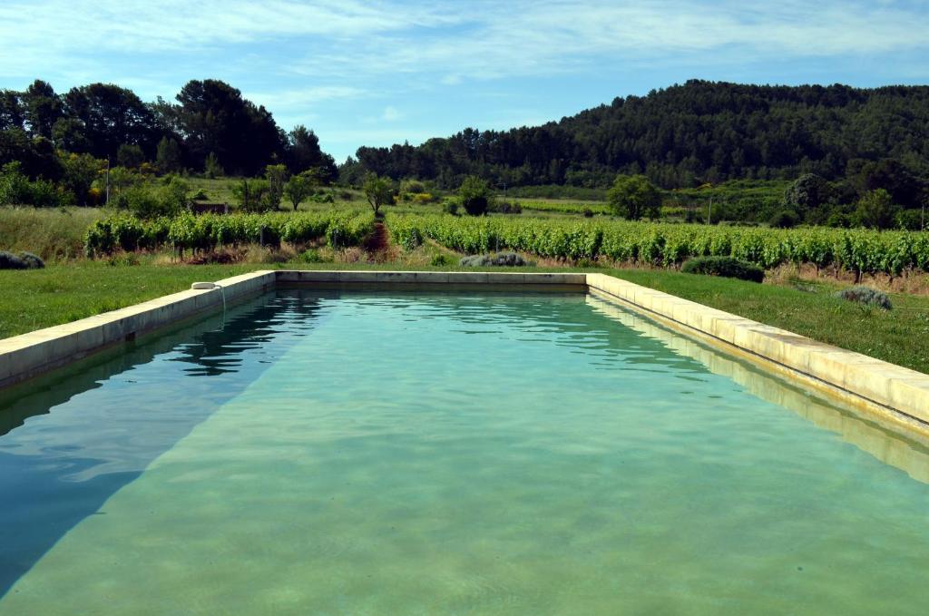un bassin d'eau dans un champ planté de vignes dans l'établissement Le Mas Perréal, à Saint-Saturnin-lès-Apt
