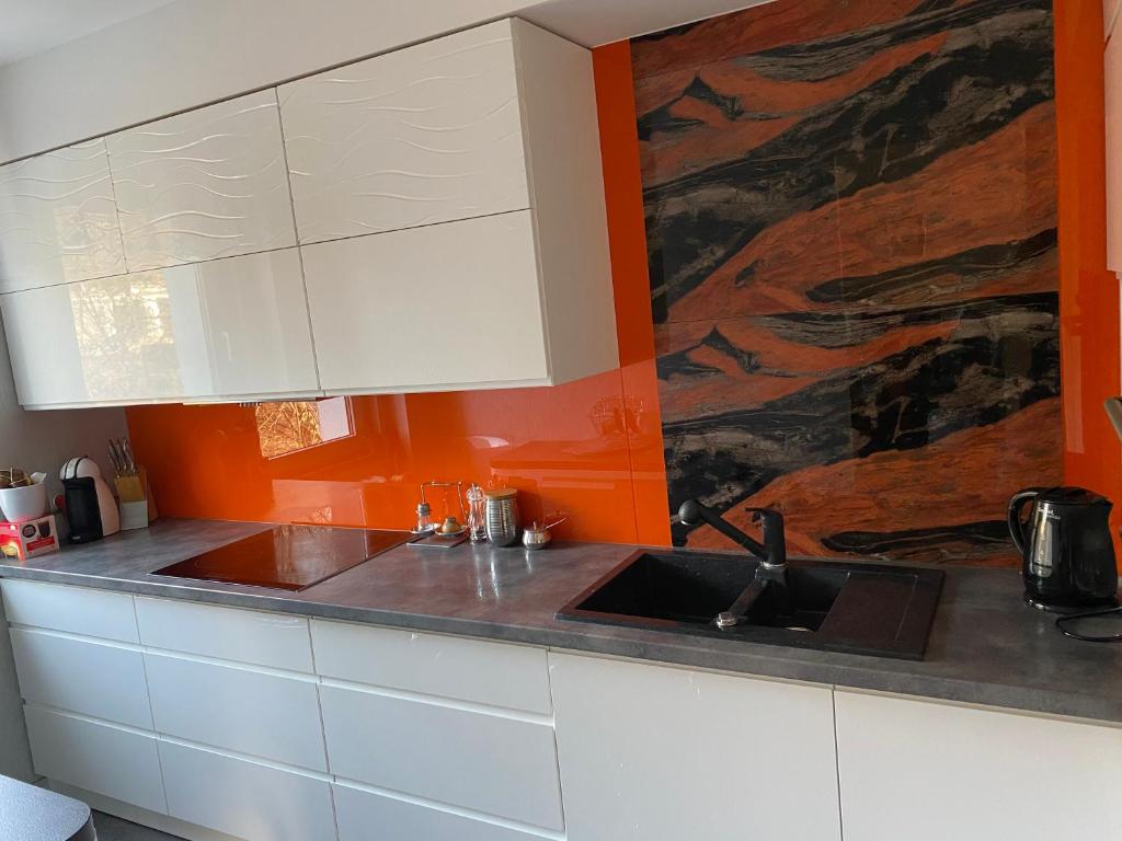 - une cuisine avec un évier et un mur orange dans l'établissement Apartament Elizabeth, à Gdynia