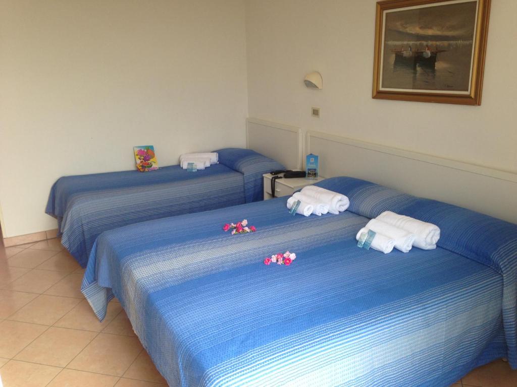 Postel nebo postele na pokoji v ubytování Hotel Primula
