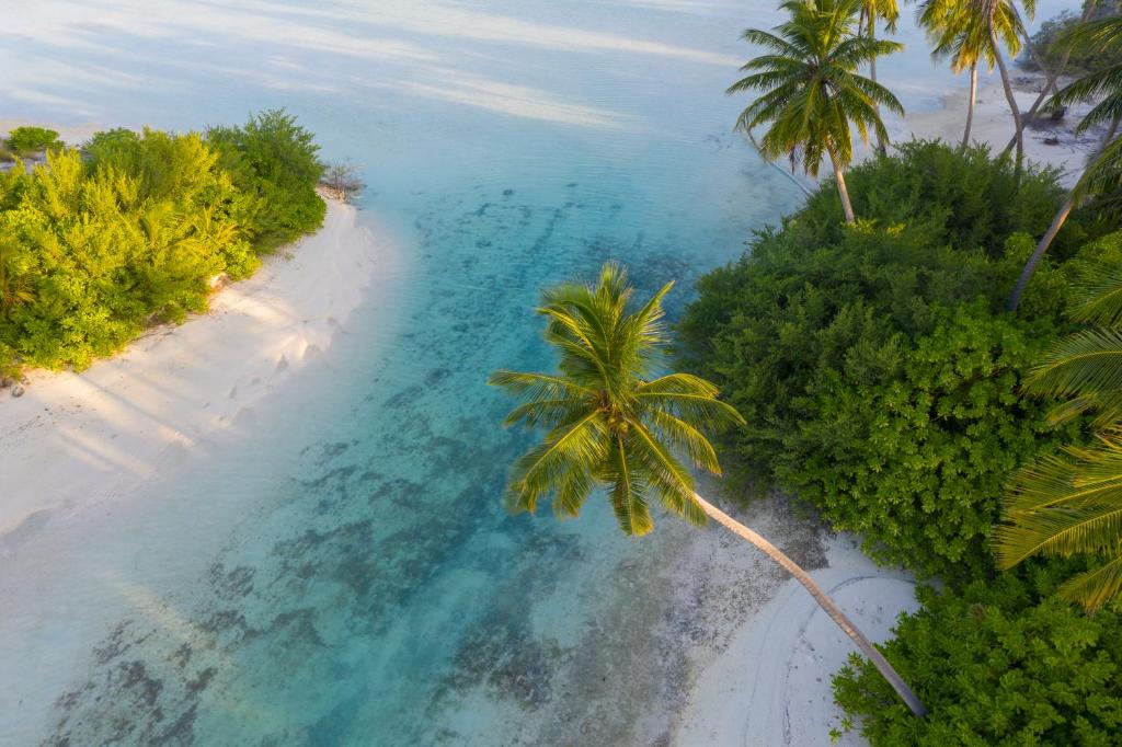 Rahaa Resort Maldives - View 32