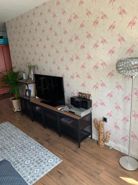 Telewizja i/lub zestaw kina domowego w obiekcie Apartamento Doña Pia