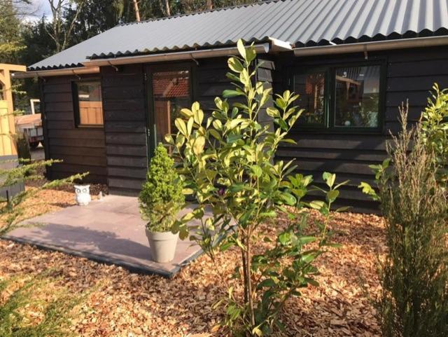 ein kleines Holzhaus mit Pflanzen davor in der Unterkunft Veluwse Bossuite in Otterlo