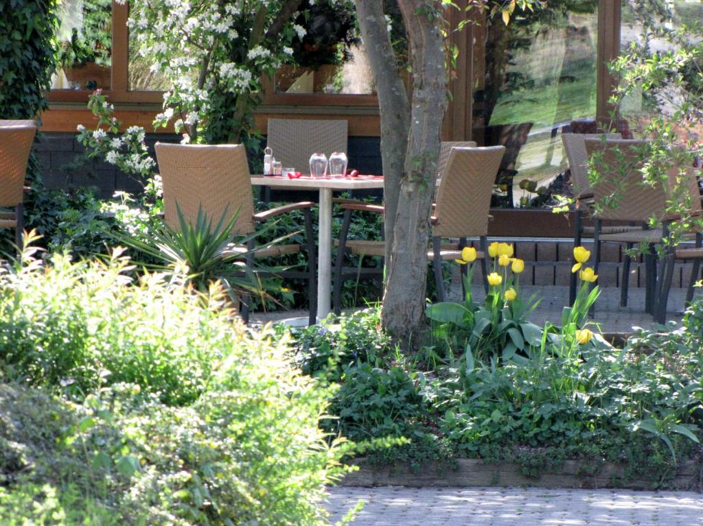 Zahrada ubytování Hotel Le Caballin