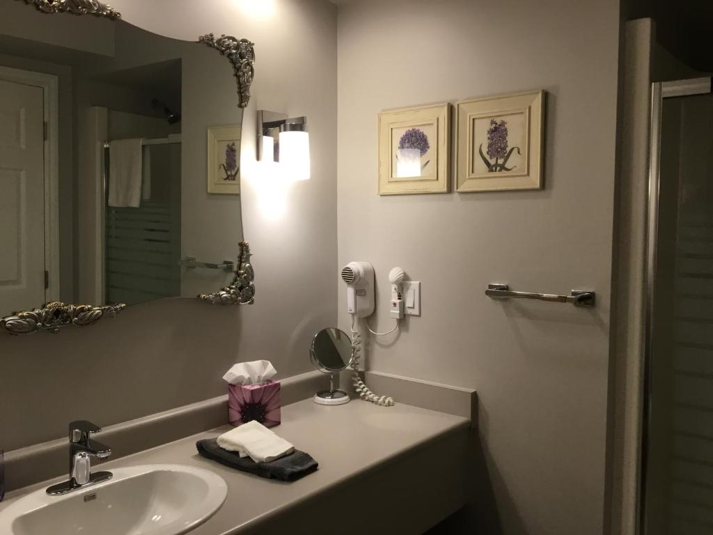 Koupelna v ubytování Nestledown B&B